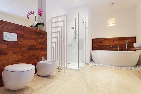 Modern Bathroom Remodel and Renovation Fremont Services